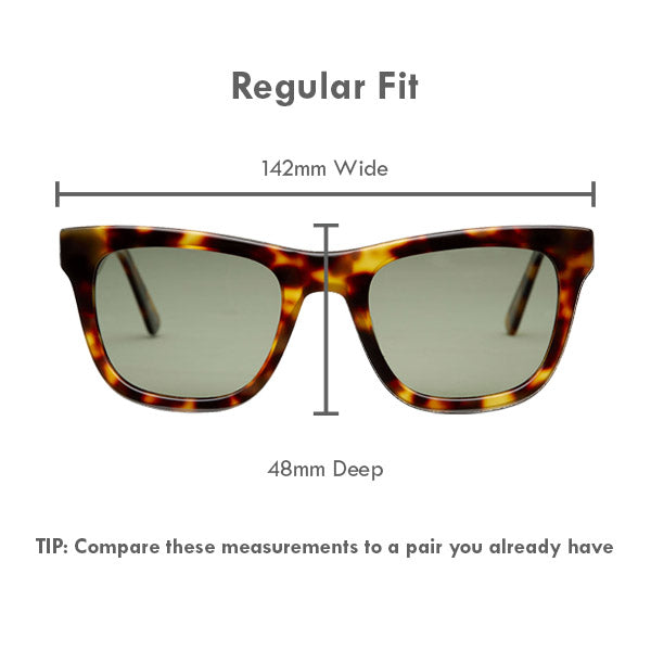 Venice Torteshell Sunglasses